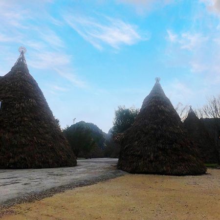 Truong Son Luxury Homestay Ninh Binh Bagian luar foto