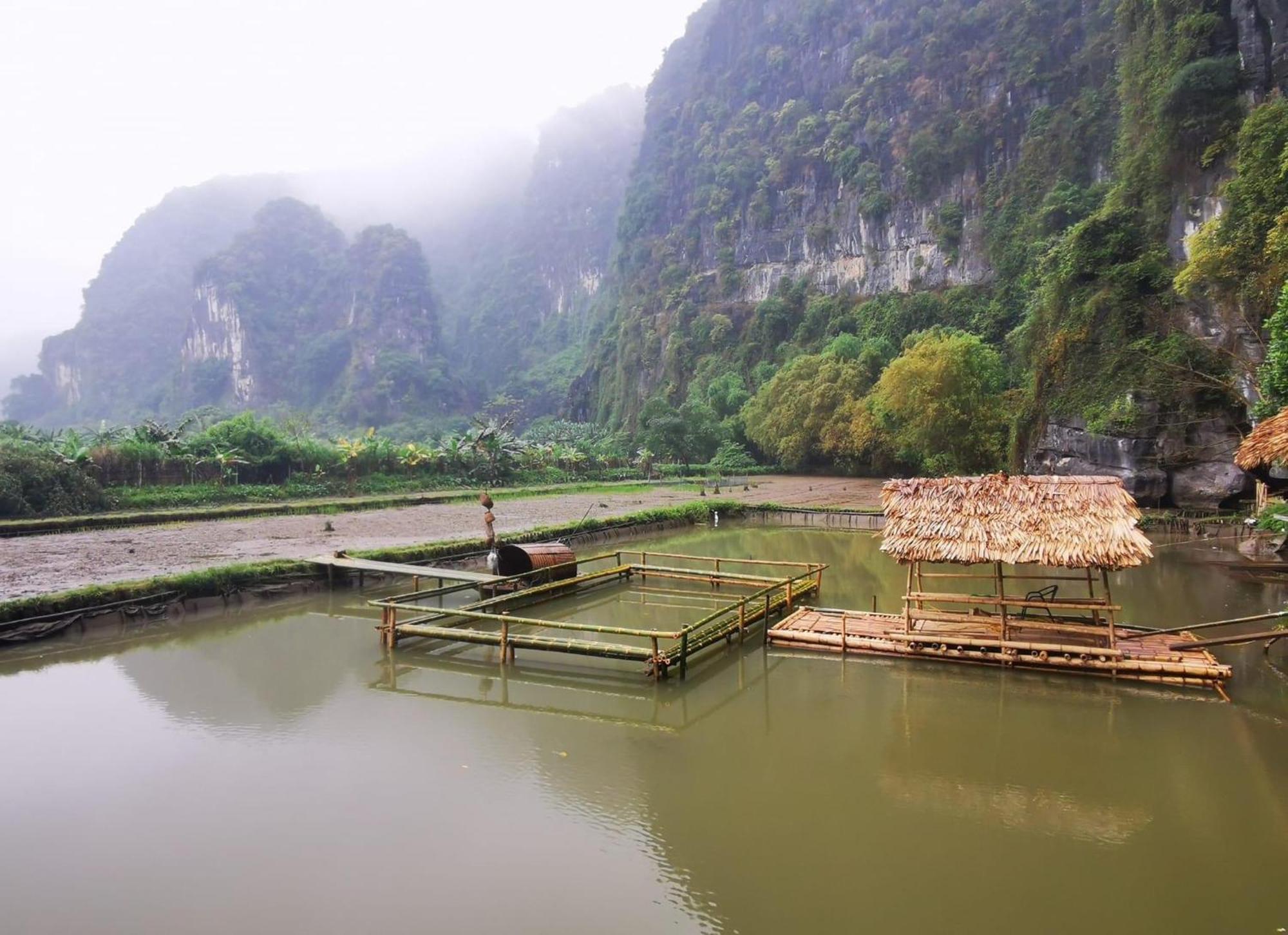 Truong Son Luxury Homestay Ninh Binh Bagian luar foto
